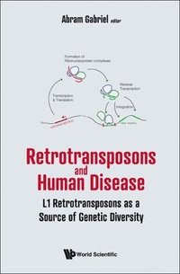 bokomslag Retrotransposons And Human Disease: L1 Retrotransposons As A Source Of Genetic Diversity