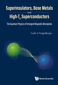 bokomslag Superinsulators, Bose Metals And High-tc Superconductors: The Quantum Physics Of Emergent Magnetic Monopoles