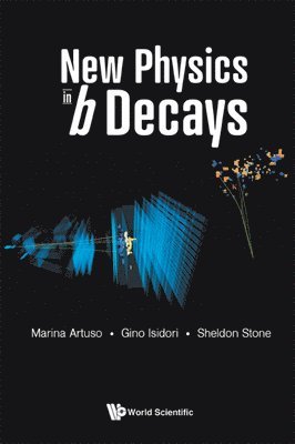 bokomslag New Physics In B Decays