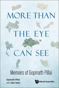 bokomslag More Than The Eye Can See: Memoirs Of Gopinath Pillai
