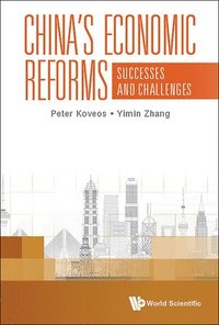 bokomslag China's Economic Reforms: Successes And Challenges