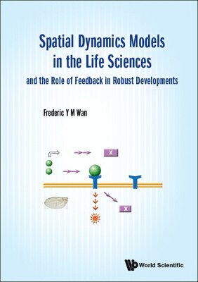 bokomslag Spatial Dynamics Models In The Life Sciences And The Role Of Feedback In Robust Developments