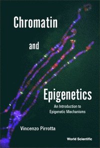bokomslag Chromatin And Epigenetics: An Introduction To Epigenetic Mechanisms