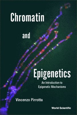 Chromatin And Epigenetics: An Introduction To Epigenetic Mechanisms 1