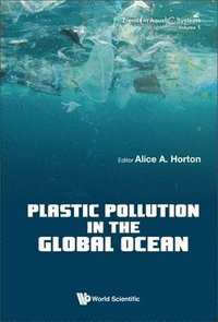 bokomslag Plastic Pollution In The Global Ocean