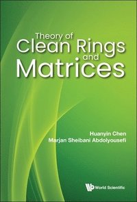 bokomslag Theory Of Clean Rings And Matrices