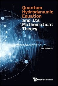 bokomslag Quantum Hydrodynamic Equation And Its Mathematical Theory