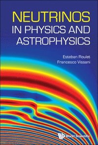 bokomslag Neutrinos In Physics And Astrophysics