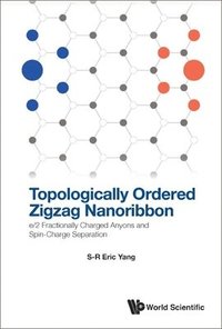 bokomslag Topologically Ordered Zigzag Nanoribbon: E/2 Fractionally Charged Anyons And Spin-charge Separation