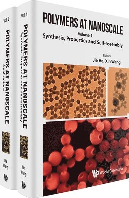 Polymers At Nanoscale (In 2 Volumes)