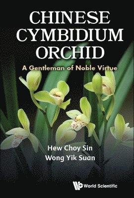 Chinese Cymbidium Orchid: A Gentleman Of Noble Virtue 1