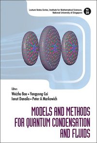 bokomslag Models And Methods For Quantum Condensation And Fluids