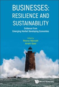 bokomslag Businesses: Resilience And Sustainability - Evidence From Emerging Market Developing Economies