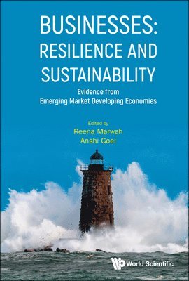 bokomslag Businesses: Resilience And Sustainability - Evidence From Emerging Market Developing Economies