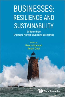 Businesses: Resilience And Sustainability - Evidence From Emerging Market Developing Economies 1