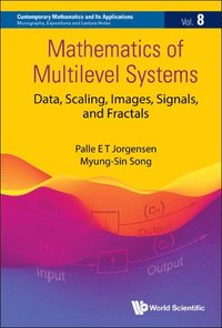 bokomslag Mathematics Of Multilevel Systems: Data, Scaling, Images, Signals, And Fractals