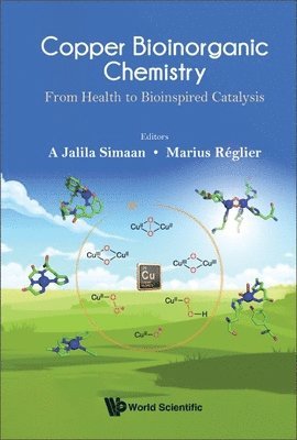 bokomslag Copper Bioinorganic Chemistry: From Health To Bioinspired Catalysis