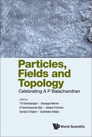 Govindarajan T R, T R Govindarajan, Giuseppe Marmo, V Parameswaran Nair, Denjoe O'Connor, Sarada G Rajeev, Sachindeo Vaidya - PARTICLES, FIELDS AND TOPOLOGY: CELEBRATING A. P. BALACHANDRAN, Inbunden