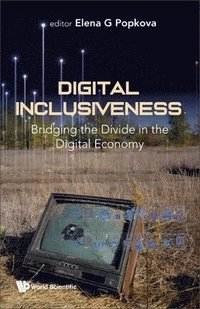 bokomslag Digital Inclusiveness: Bridging The Divide In The Digital Economy
