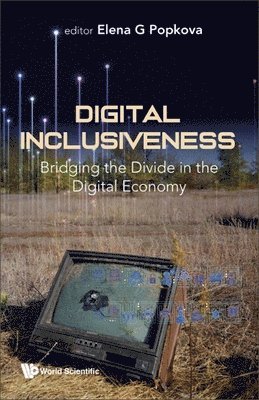 Digital Inclusiveness: Bridging The Divide In The Digital Economy 1