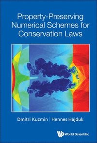 bokomslag Property-preserving Numerical Schemes For Conservation Laws