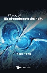 bokomslag Theory Of Electromagnetoelasticity