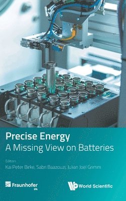 bokomslag Precise Energy: A Missing View On Batteries