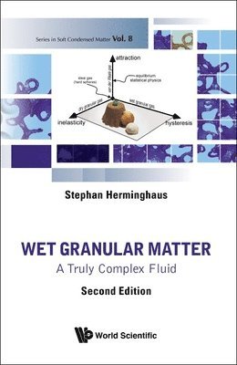 bokomslag Wet Granular Matter: A Truly Complex Fluid