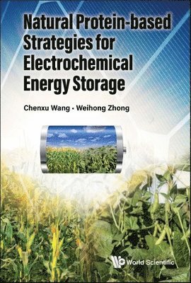 bokomslag Natural Protein-based Strategies For Batteries