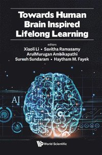 bokomslag Towards Human Brain Inspired Lifelong Learning