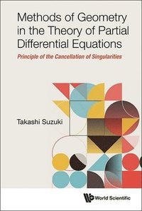 bokomslag Methods Of Geometry In The Theory Of Partial Differential Equations: Principle Of The Cancellation Of Singularities