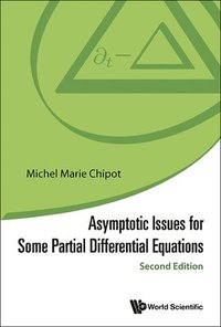 bokomslag Asymptotic Issues For Some Partial Differential Equations