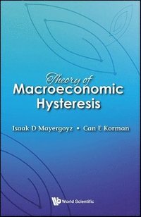 bokomslag Theory Of Macroeconomic Hysteresis