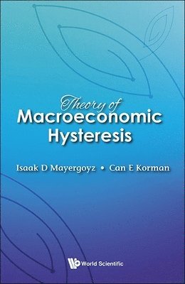 bokomslag Theory Of Macroeconomic Hysteresis