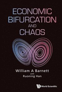 bokomslag Economic Bifurcation And Chaos