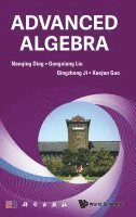 Nanqing Ding, Gongxiang Liu, Qingzhong Ji, Xuejun Guo, DING NANQING, Ding Nanqing - Advanced Algebra, Inbunden