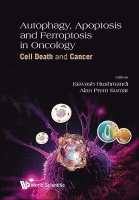 bokomslag Autophagy, Apoptosis And Ferroptosis In Oncology: Cell Death And Cancer