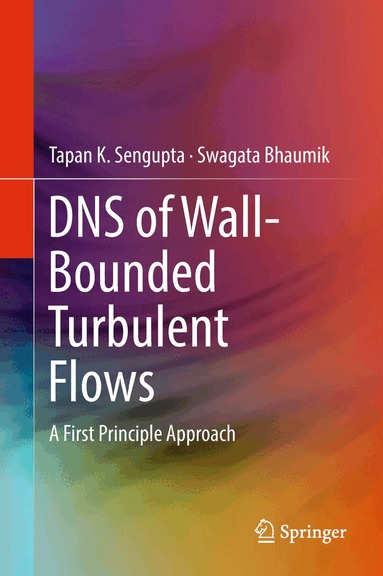 Tapan K. Sengupta, Swagata Bhaumik - DNS of Wall-Bounded Turbulent Flows, Inbunden