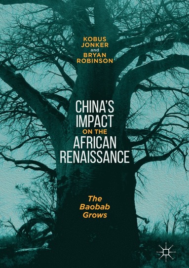 bokomslag China's Impact on the African Renaissance