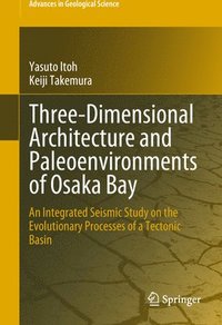 bokomslag Three-Dimensional Architecture and Paleoenvironments of Osaka Bay