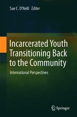 bokomslag Incarcerated Youth Transitioning Back to the Community