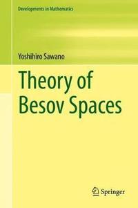 bokomslag Theory of Besov Spaces