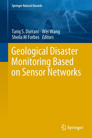 bokomslag Geological Disaster Monitoring Based on Sensor Networks