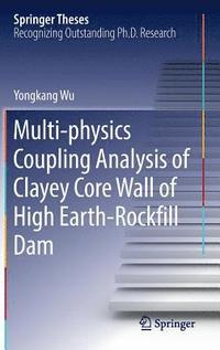 bokomslag Multi-physics Coupling Analysis of Clayey Core Wall of High Earth-Rockfill Dam