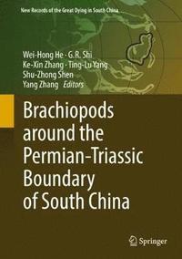 bokomslag Brachiopods around the Permian-Triassic Boundary of South China