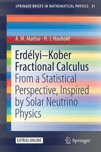 bokomslag ErdlyiKober Fractional Calculus