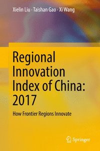 bokomslag Regional Innovation Index of China: 2017