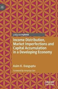 bokomslag Income Distribution, Market Imperfections and Capital Accumulation in a Developing Economy
