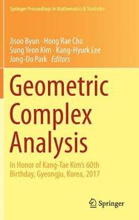 bokomslag Geometric Complex Analysis