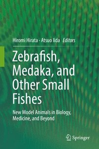 bokomslag Zebrafish, Medaka, and Other Small Fishes